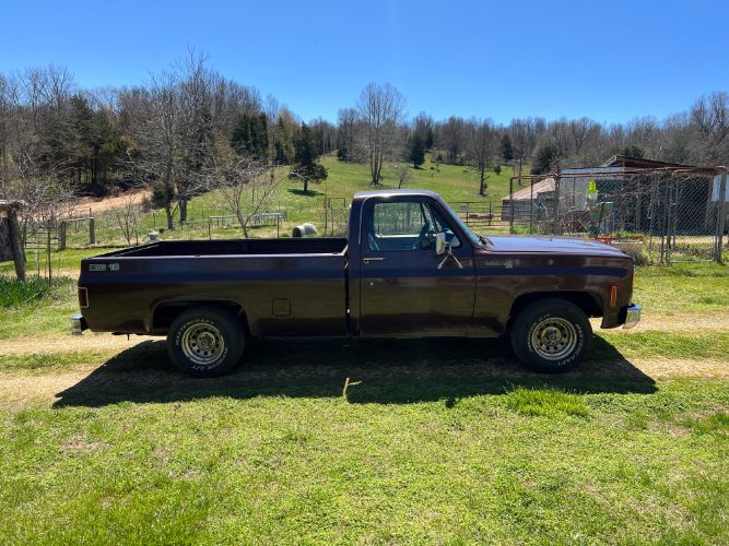 Chevrolet-Scottsdale-1979-9