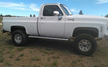 Chevrolet-Silverado-1976-12