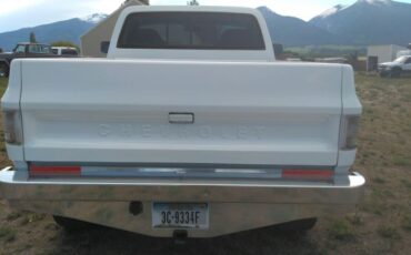 Chevrolet-Silverado-1976-16