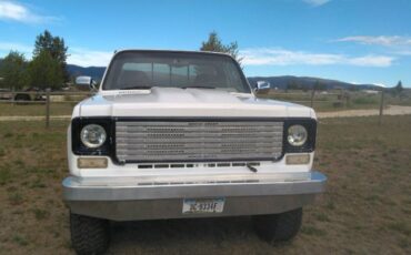 Chevrolet-Silverado-1976-3