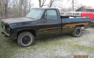 Chevrolet-Silverado-1976-5