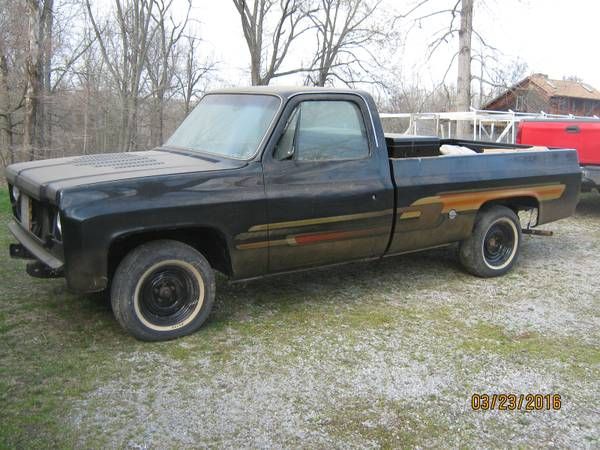 Chevrolet-Silverado-1976-5