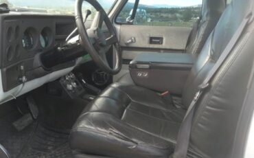 Chevrolet-Silverado-1976-6
