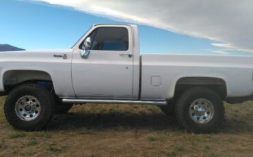 Chevrolet-Silverado-1976-7
