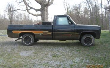 Chevrolet-Silverado-1976-8