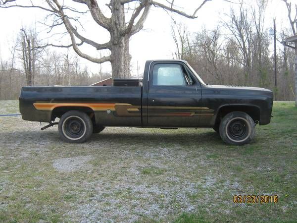 Chevrolet-Silverado-1976-8