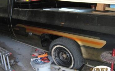 Chevrolet-Silverado-1976-9