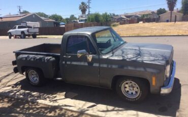 Chevrolet-Silverado-1978-Gray-10