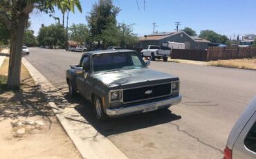 Chevrolet-Silverado-1978-Gray-12