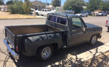 Chevrolet-Silverado-1978-Gray