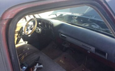 Chevrolet-Silverado-1978-Gray-4