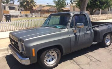 Chevrolet-Silverado-1978-Gray-6