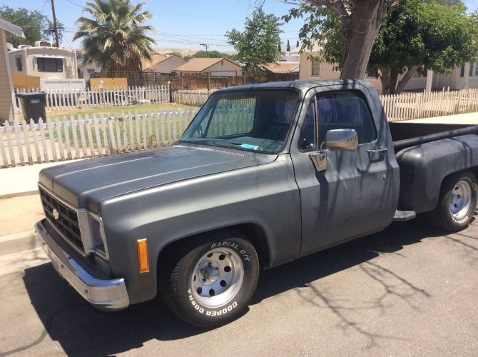 Chevrolet-Silverado-1978-Gray-6