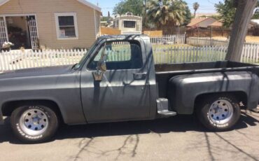 Chevrolet-Silverado-1978-Gray-7