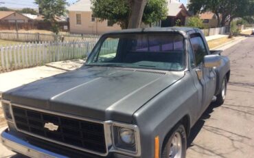 Chevrolet-Silverado-1978-Gray-8