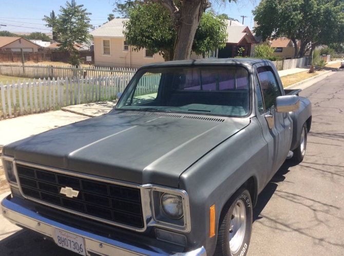 Chevrolet-Silverado-1978-Gray-8