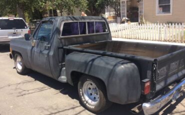 Chevrolet-Silverado-1978-Gray-9