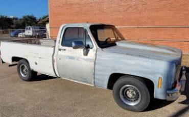 Chevrolet-Silverado-1979-19