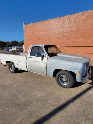 Chevrolet-Silverado-1979-19