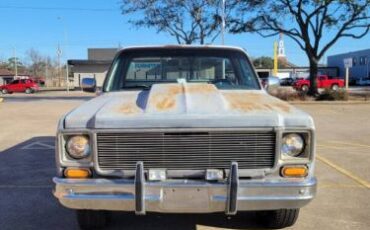 Chevrolet-Silverado-1979-20