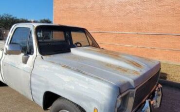 Chevrolet-Silverado-1979-22