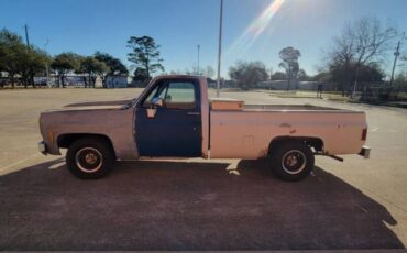 Chevrolet-Silverado-1979-24
