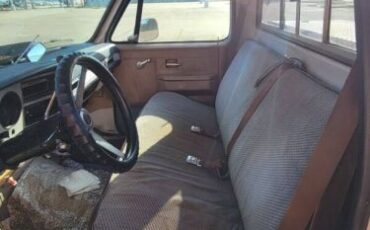 Chevrolet-Silverado-1979-26