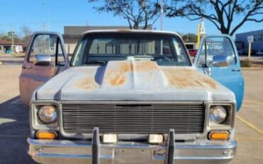 Chevrolet-Silverado-1979-3