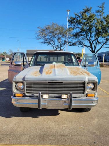 Chevrolet-Silverado-1979-3