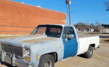 Chevrolet-Silverado-1979-4