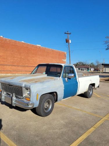 Chevrolet-Silverado-1979-4