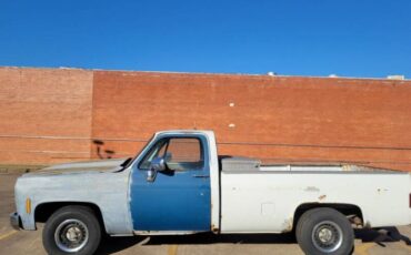 Chevrolet-Silverado-1979-5