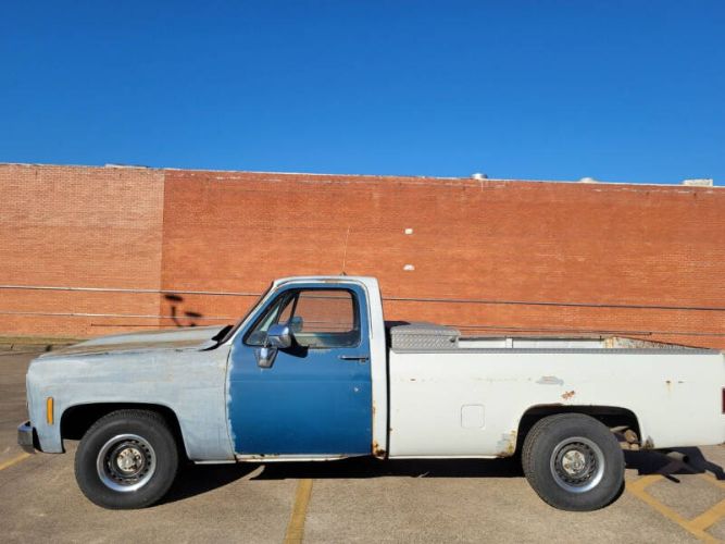 Chevrolet-Silverado-1979-5