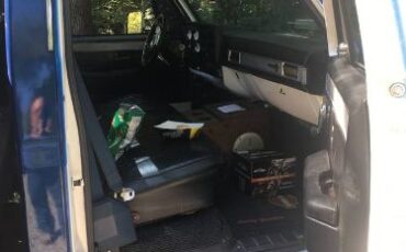 Chevrolet-Silverado-1982-Blue-2