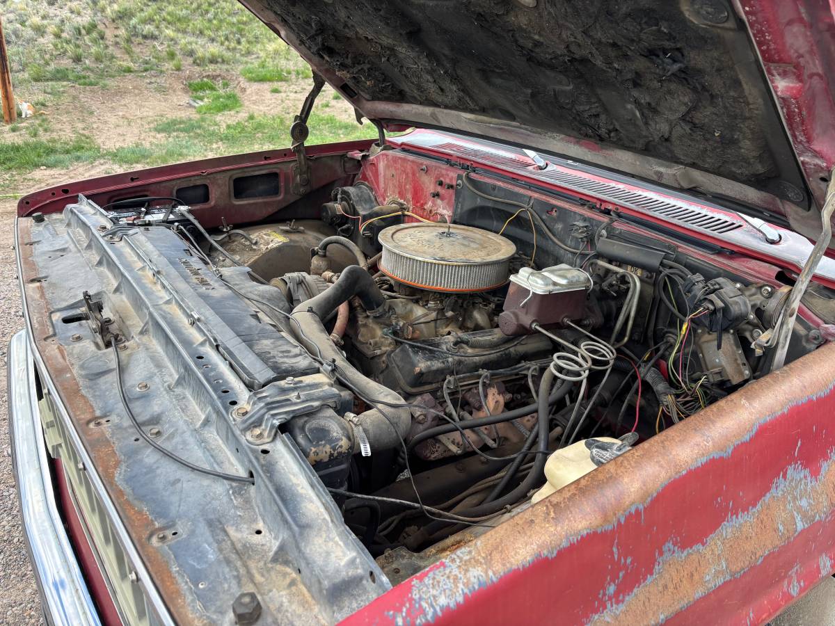 Chevrolet-Silverado-1982-red-15