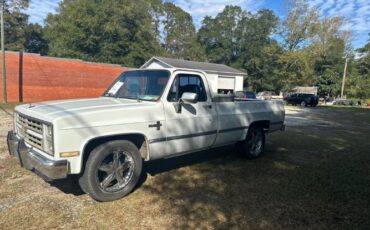 Chevrolet-Silverado-1984-White-Blue-1