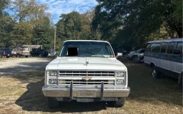 Chevrolet-Silverado-1984-White-Blue-3