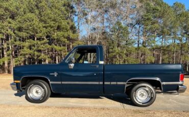 Chevrolet-Silverado-1985-Blue-Blue-15
