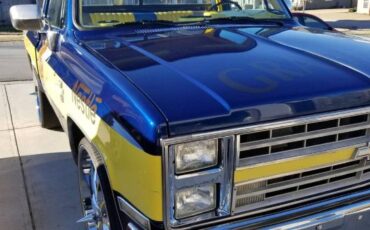 Chevrolet-Silverado-1986-Blue-13