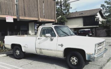 Chevrolet-Silverado-1987-White-white-black-tan-3