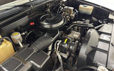 Chevrolet-Silverado-1993-Onyx-Black-Garnet-49
