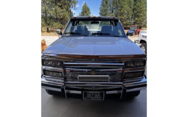 Chevrolet-Silverado-1994-White-Blue-13