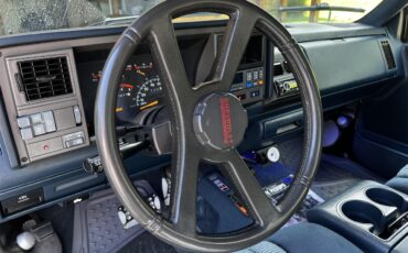 Chevrolet-Silverado-1994-White-Blue-14