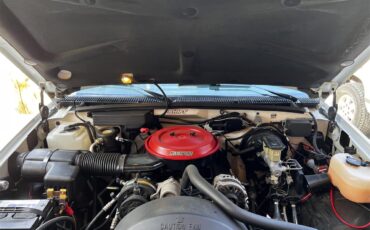 Chevrolet-Silverado-1994-White-Blue-27