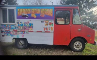 Chevrolet-Step-van-1979-custom-3
