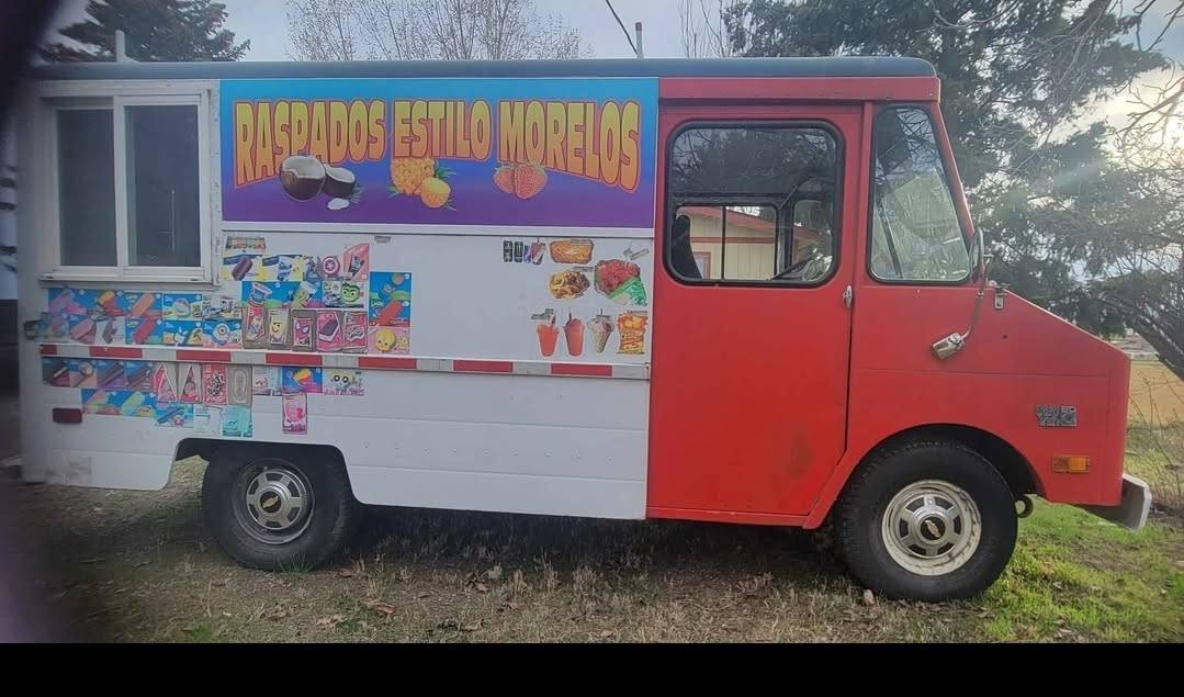 Chevrolet-Step-van-1979-custom-3