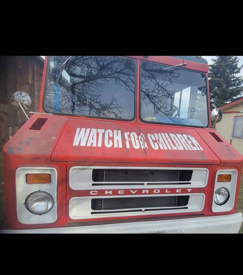 Chevrolet-Step-van-1979-custom-6