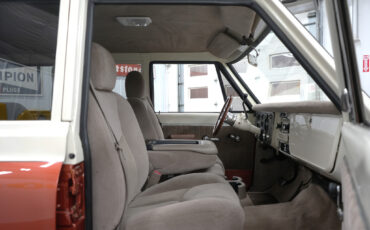 Chevrolet-Suburban-1969-Cream-and-Copper-Beige-50