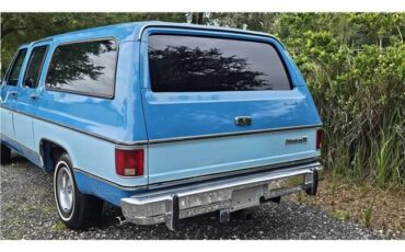Chevrolet-Suburban-1978-15