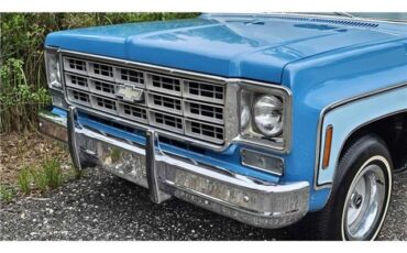 Chevrolet-Suburban-1978-8
